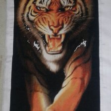 Процесс «Тигр»