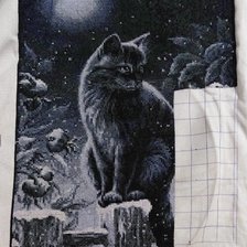 Процесс «Кот»