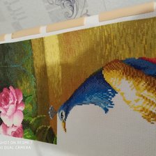 Процесс «Павлин»