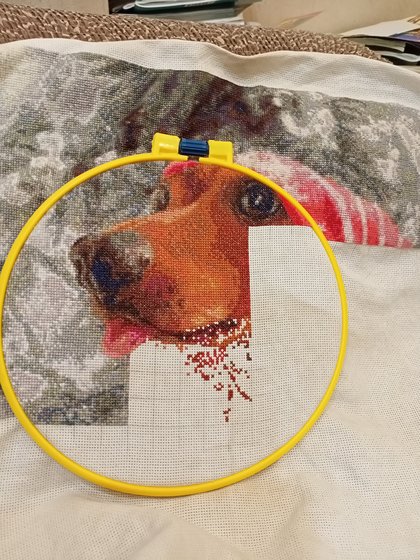 Этап процесса «Такса в шапочке»