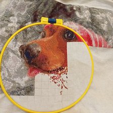 Процесс «Такса в шапочке»