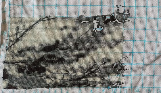 Этап процесса «Снег под лапами. Химера»