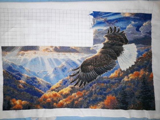 Этап процесса «Полёт»