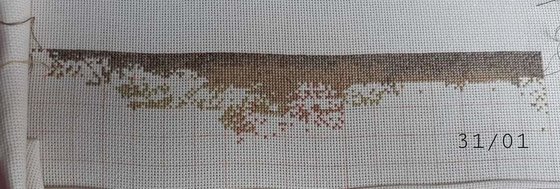 Этап процесса «Orquídea»