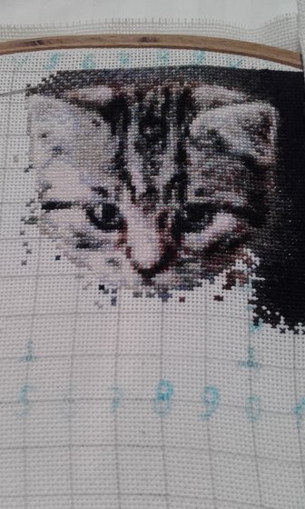 Этап процесса «Тигрёнок»