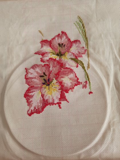 Этап процесса «Гладиолусы»