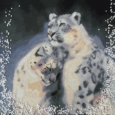 Процесс «Дикие кошки. Ирбисы»