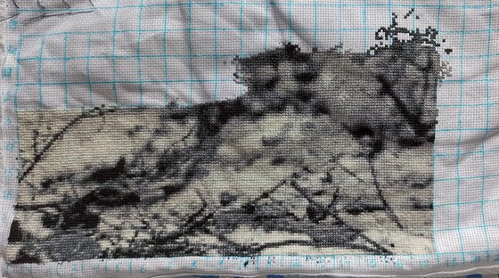 Этап процесса «Снег под лапами. Химера»