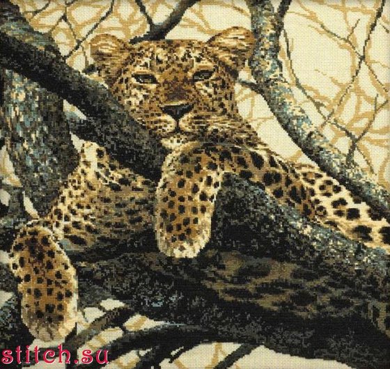 Этап процесса «Леопард»