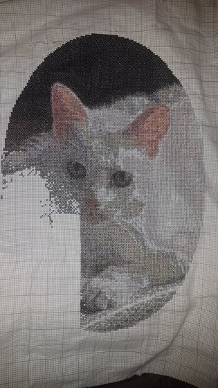 Этап процесса «Кошка»