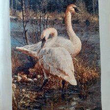 Процесс «№6296»