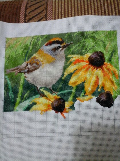 Этап процесса «Королёк»