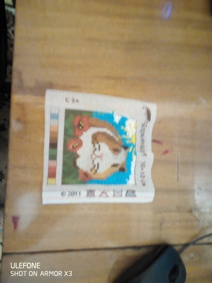 Этап процесса «Свинка морская»