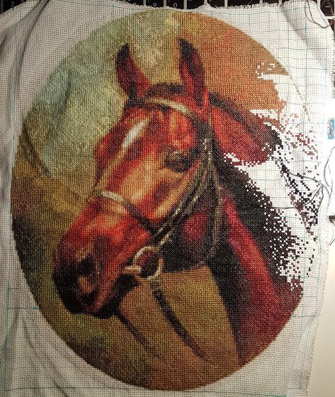 Этап процесса «Лошадь»