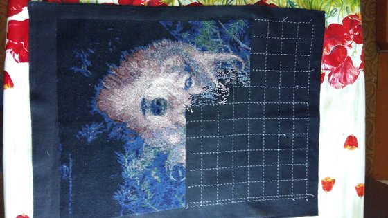 Этап процесса «пара волков»