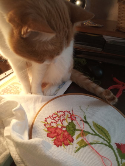 Этап процесса «Хризантемы»