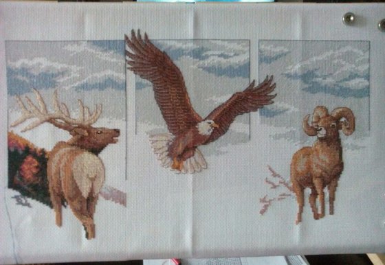 Этап процесса «Красота скалистых гор»