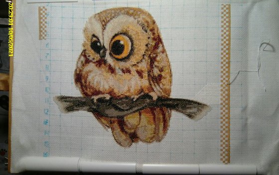 Этап процесса «"Совушки - красавицы"»