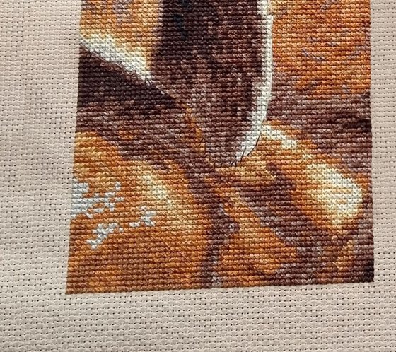 Этап процесса «желтый лабрадор»