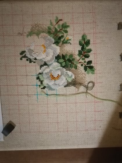 Этап процесса «Белый шиповник от Риолис»