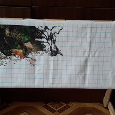 Процесс «Олени в лесу»