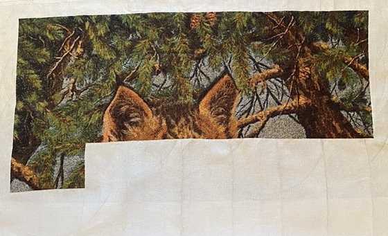 Этап процесса «Рысь»