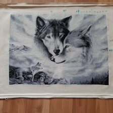 Процесс «"Волчья верность"»