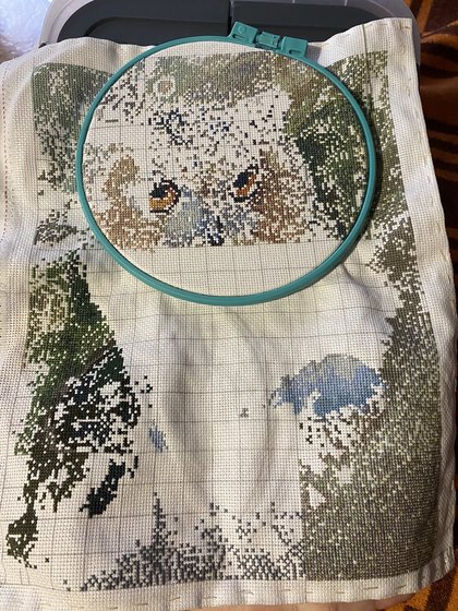 Этап процесса «Сова»