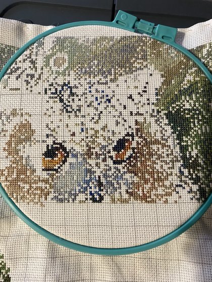 Этап процесса «Сова»