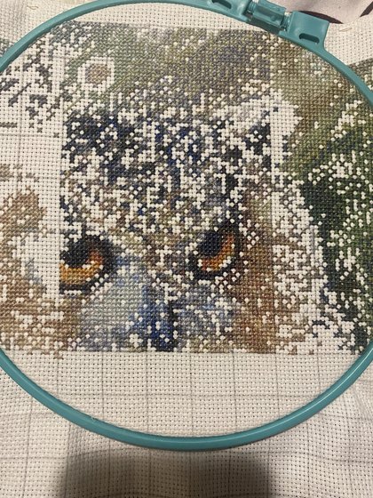 Этап процесса «Сова»