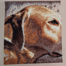 Процесс «желтый лабрадор»