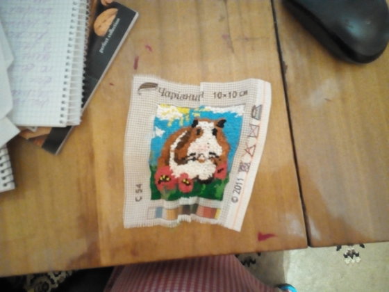 Этап процесса «Свинка морская»