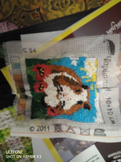 Этап процесса «Свинка морская»