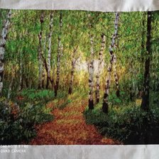 Процесс «Березовая роща.»