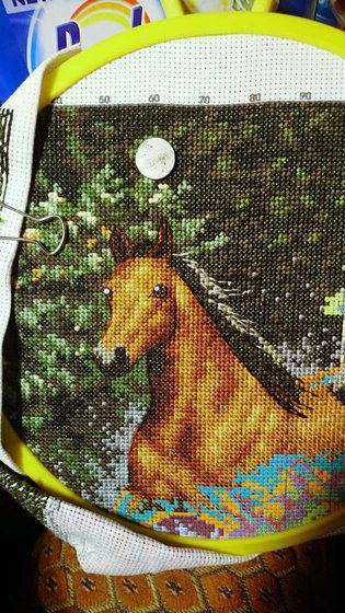 Этап процесса «ЛОШАДКИ»