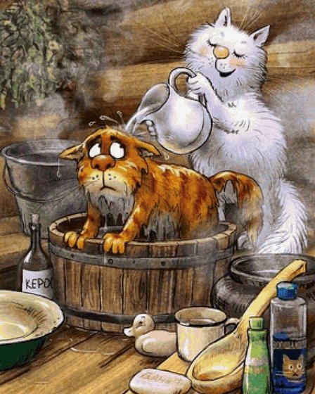 Этап процесса «Банный день»