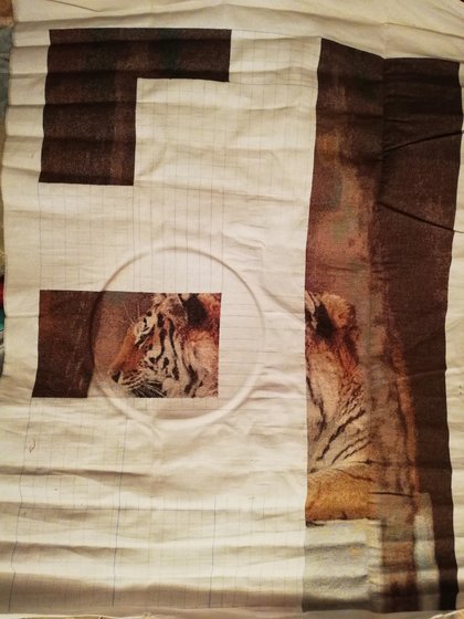 Этап процесса «Тигры»