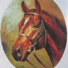 Процесс «Лошадь»