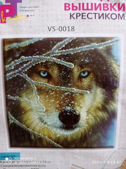 Этап процесса «Вожак стаи»