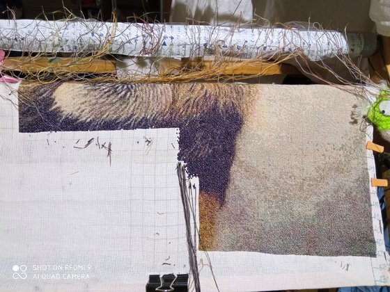 Этап процесса «Лев 560 ×502 155 гамма»