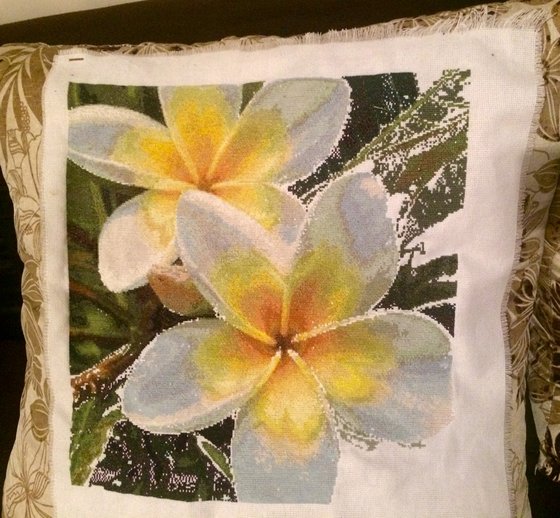 Этап процесса «Франжипаны»