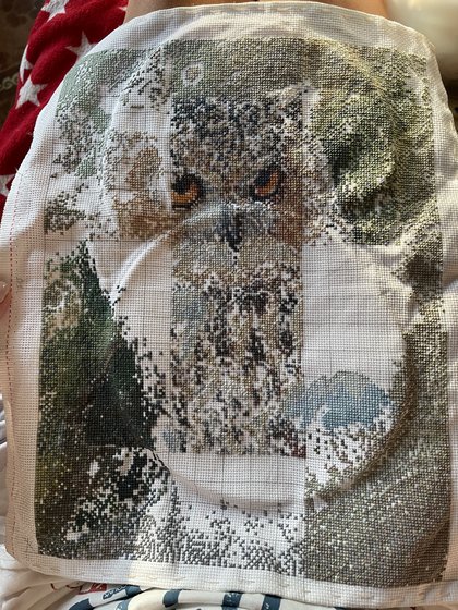 Этап процесса «Сова»