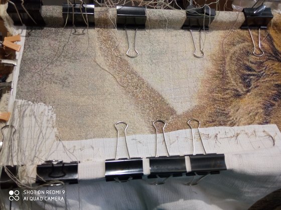 Этап процесса «Лев 560 ×502 155 гамма»