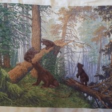 Процесс «утро в сосновом лесу»