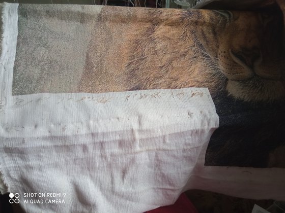 Этап процесса «Лев 560 ×502 155 гамма»