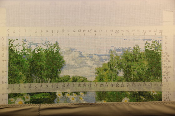 Этап процесса «Ромашка 9»