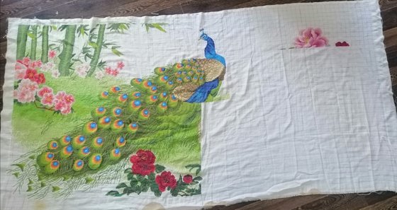 Этап процесса «Павлины в процессе»