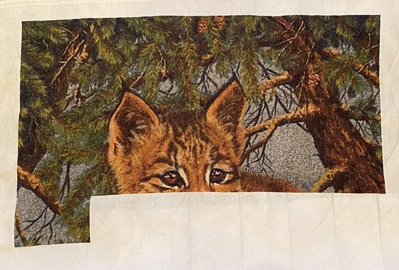 Этап процесса «Рысь»