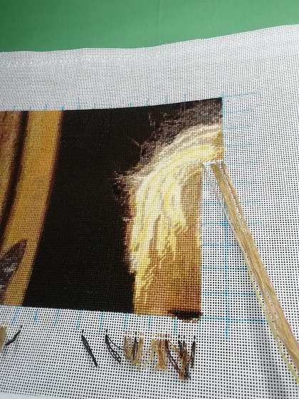 Этап процесса «Одинаковые лапки»