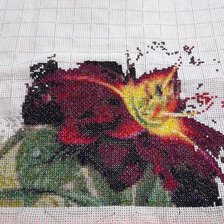 Процесс «Лилейники»